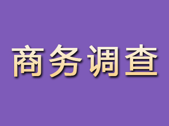 宣恩商务调查